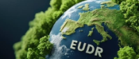 EUDR: facciamo ordine (per non trovarsi impreparati prima del via)